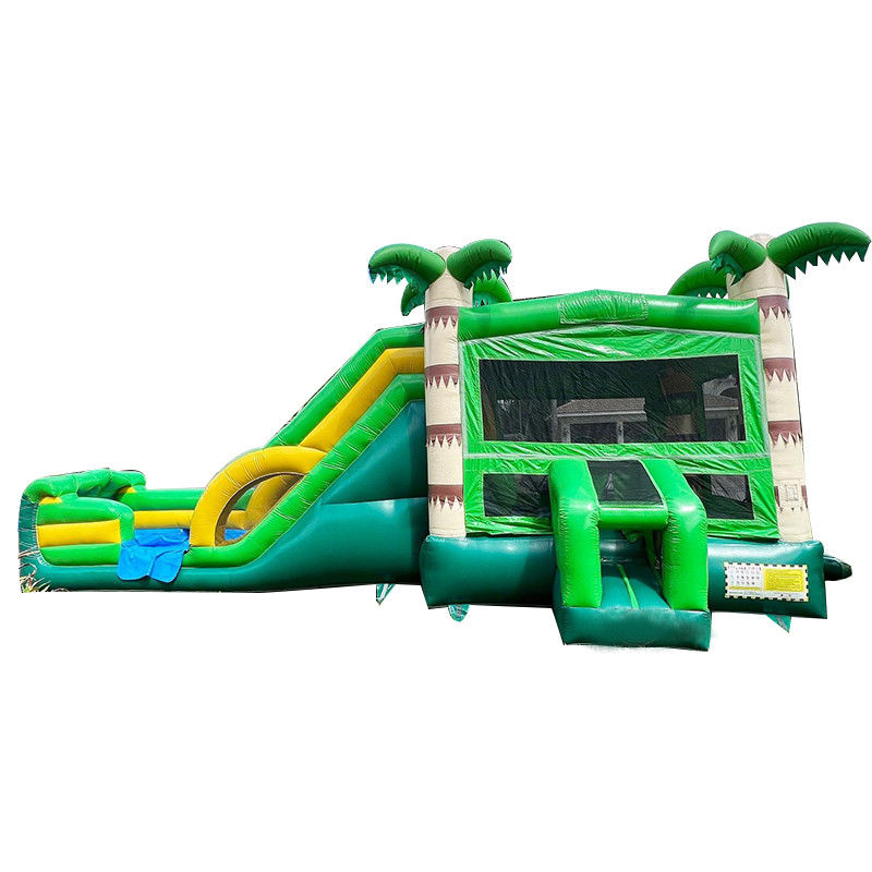 Un trampoline de château unisexe avec piscine de plongée