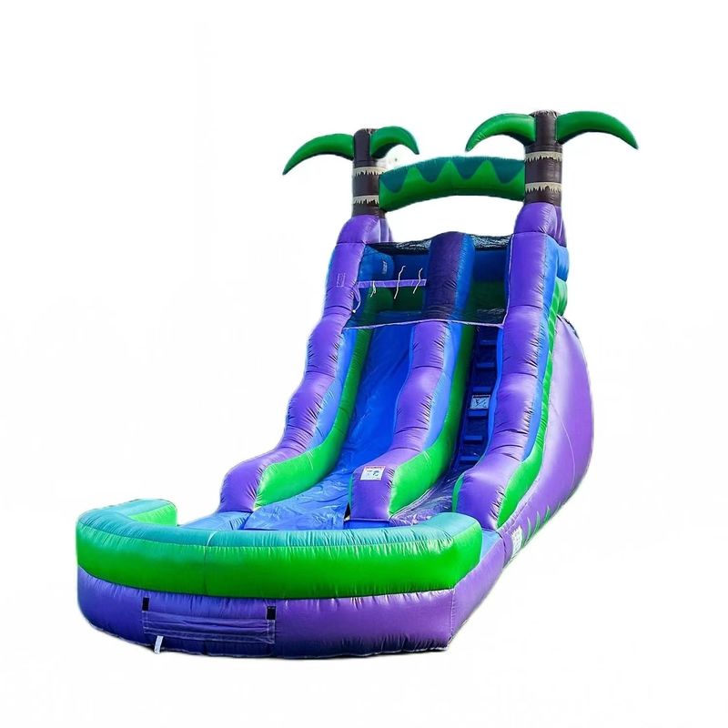 Glissière gonflable de 25 pieds avec piscine et palmier