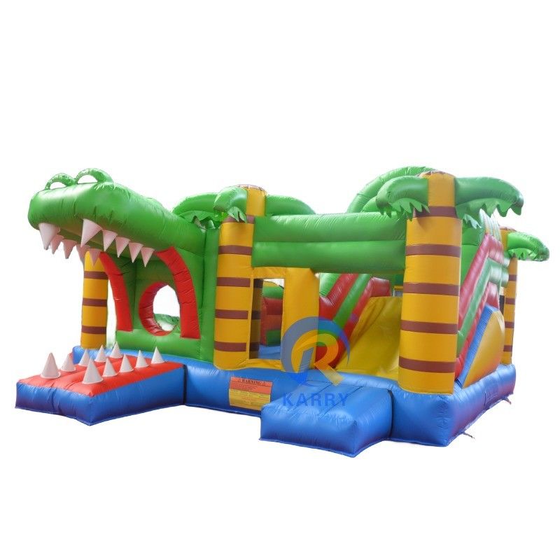 14 ans et plus Range d'âge Portable Bouncer gonflable avec glisser-déposer Jumping Castle Moonwalk
