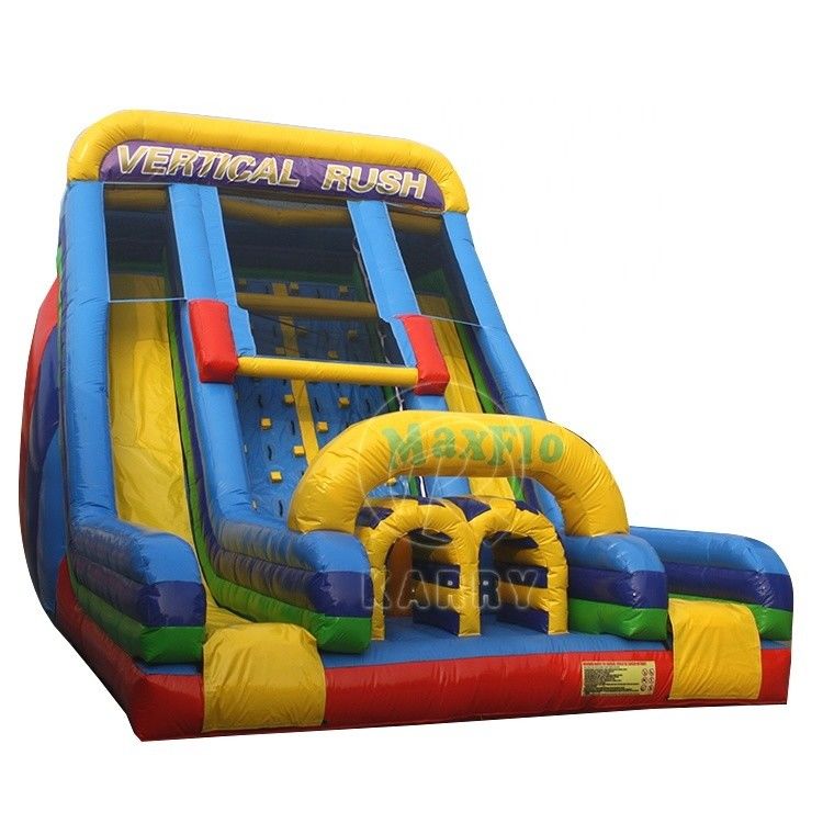 Jeu d'escalade pour enfants Double toboggan gonflable toboggan à eau pour enfants